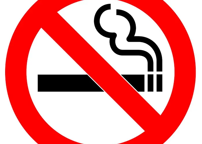 Хостел Ararat *